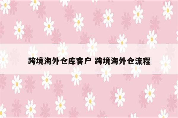 跨境海外仓库客户 跨境海外仓流程