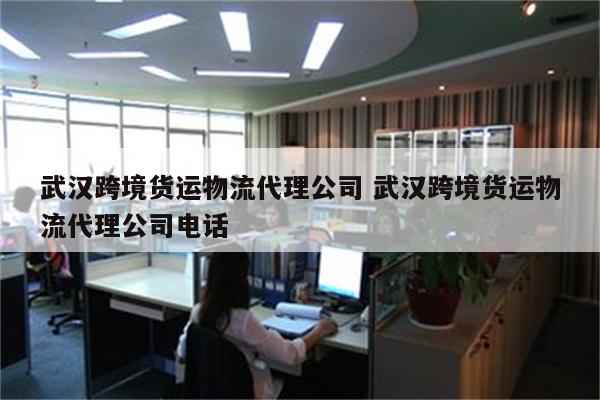 武汉跨境货运物流代理公司 武汉跨境货运物流代理公司电话