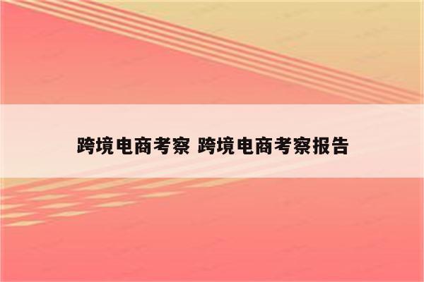 跨境电商考察 跨境电商考察报告