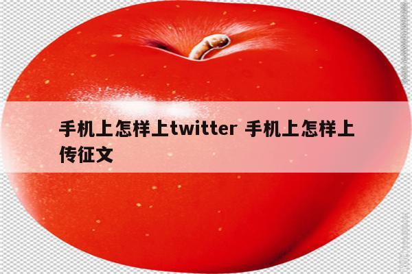 手机上怎样上twitter 手机上怎样上传征文