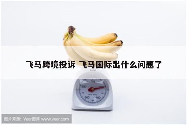 飞马跨境投诉 飞马国际出什么问题了