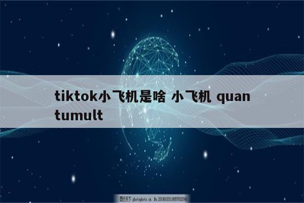 tiktok小飞机是啥 小飞机 quantumult