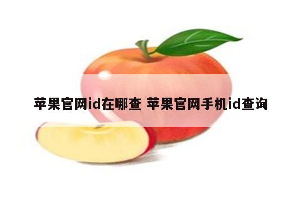 苹果官网id在哪查 苹果官网手机id查询