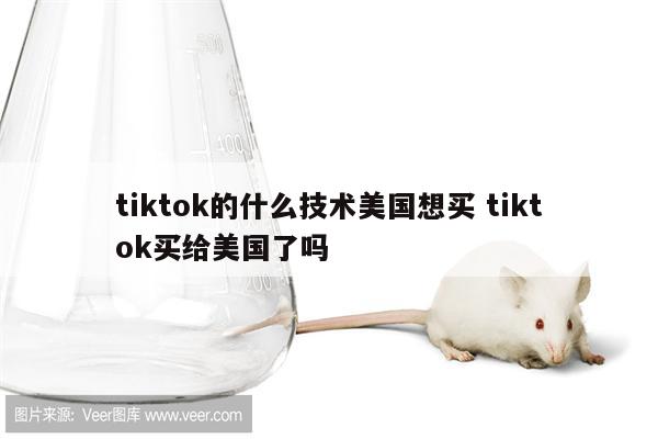 tiktok的什么技术美国想买 tiktok买给美国了吗