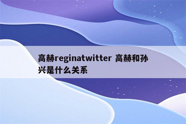 高赫reginatwitter 高赫和孙兴是什么关系