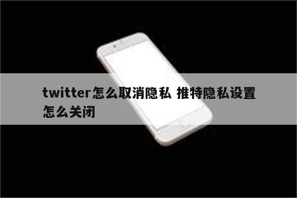 twitter怎么取消隐私 推特隐私设置怎么关闭