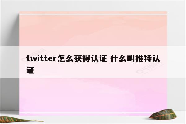 twitter怎么获得认证 什么叫推特认证