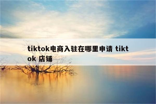 tiktok电商入驻在哪里申请 tiktok 店铺