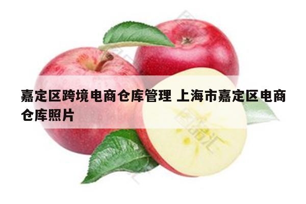 嘉定区跨境电商仓库管理 上海市嘉定区电商仓库照片