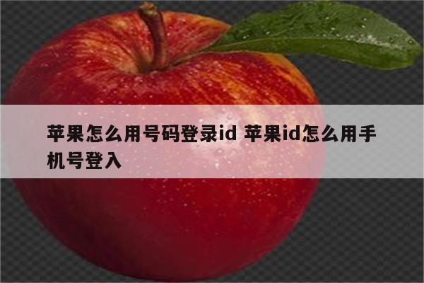 苹果怎么用号码登录id 苹果id怎么用手机号登入