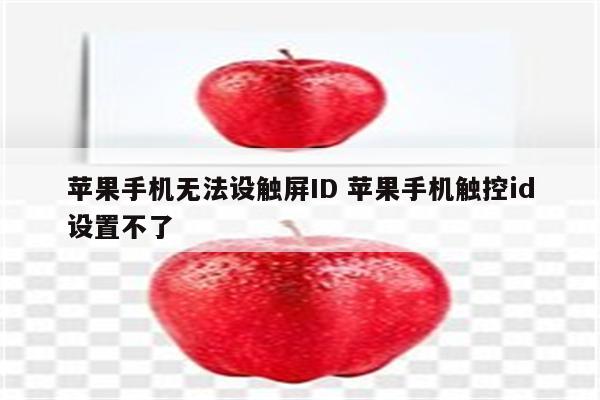 苹果手机无法设触屏ID 苹果手机触控id设置不了