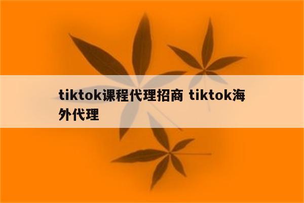 tiktok课程代理招商 tiktok海外代理