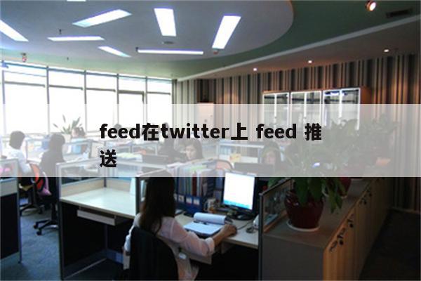 feed在twitter上 feed 推送