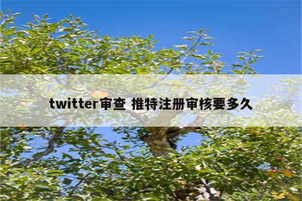 twitter审查 推特注册审核要多久