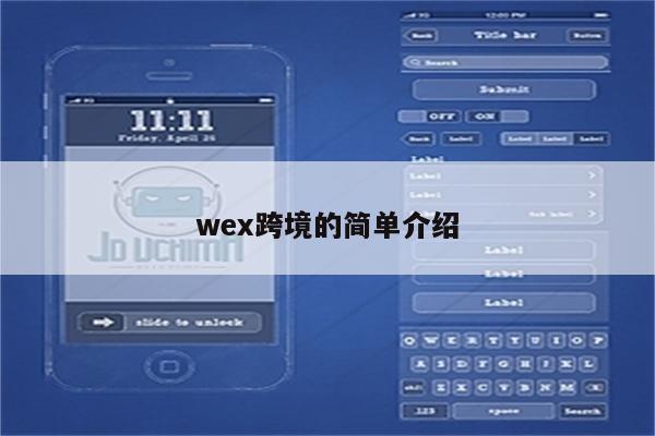 wex跨境的简单介绍