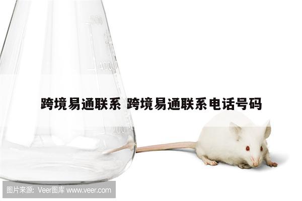 跨境易通联系 跨境易通联系电话号码