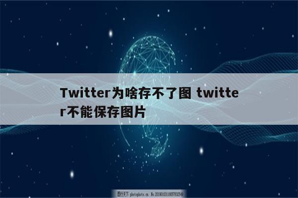 Twitter为啥存不了图 twitter不能保存图片