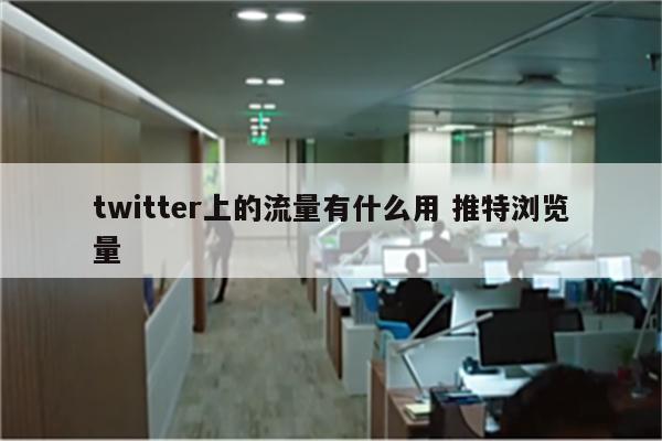 twitter上的流量有什么用 推特浏览量