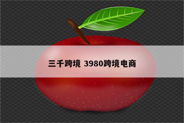 三千跨境 3980跨境电商
