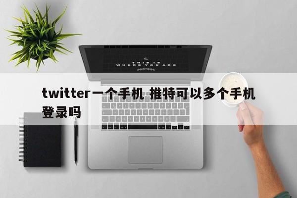 twitter一个手机 推特可以多个手机登录吗