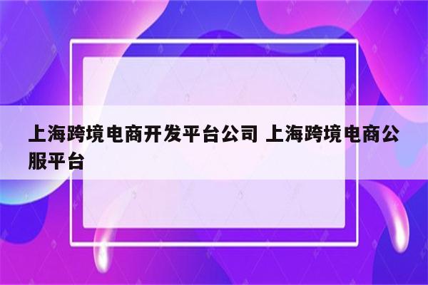 上海跨境电商开发平台公司 上海跨境电商公服平台