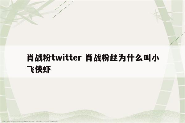 肖战粉twitter 肖战粉丝为什么叫小飞侠虾