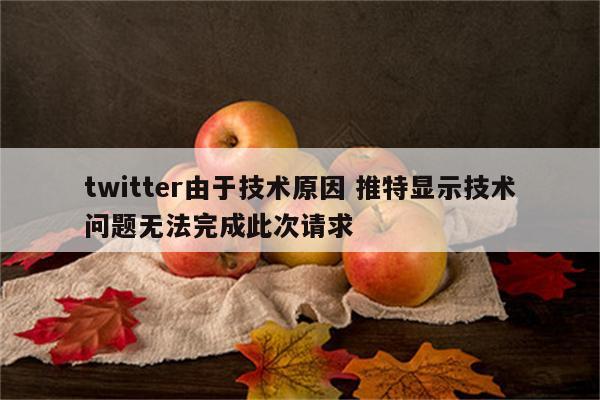 twitter由于技术原因 推特显示技术问题无法完成此次请求