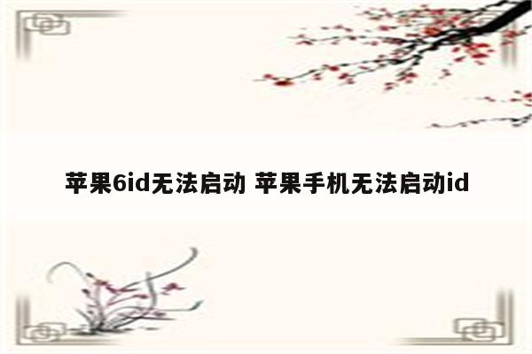 苹果6id无法启动 苹果手机无法启动id