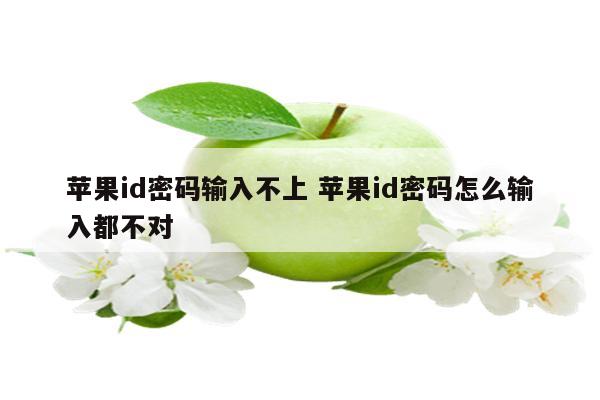 苹果id密码输入不上 苹果id密码怎么输入都不对