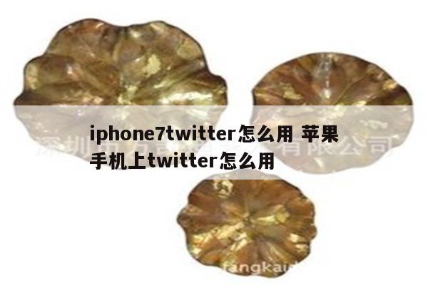 iphone7twitter怎么用 苹果手机上twitter怎么用