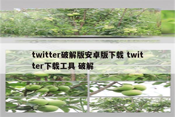 twitter破解版安卓版下载 twitter下载工具 破解