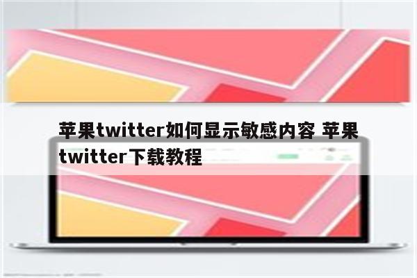 苹果twitter如何显示敏感内容 苹果twitter下载教程