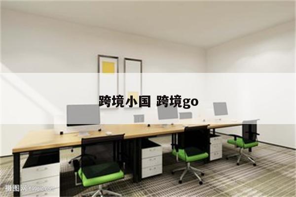 跨境小国 跨境go