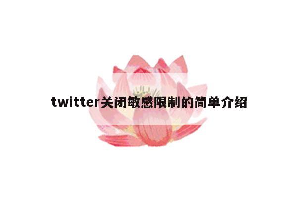 twitter关闭敏感限制的简单介绍