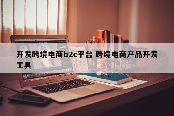 开发跨境电商b2c平台 跨境电商产品开发工具