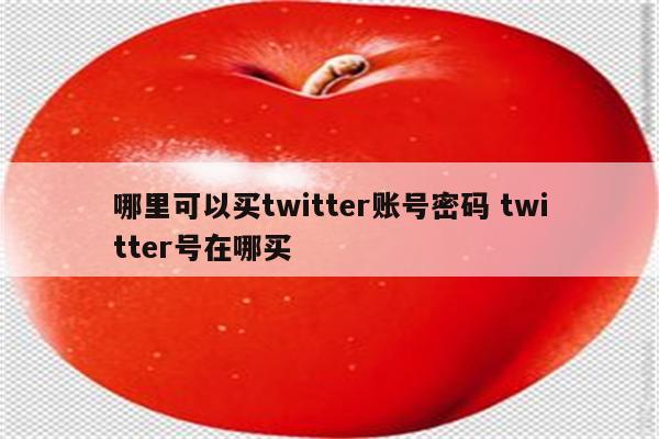 哪里可以买twitter账号密码 twitter号在哪买