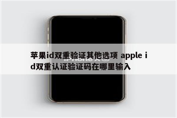 苹果id双重验证其他选项 apple id双重认证验证码在哪里输入