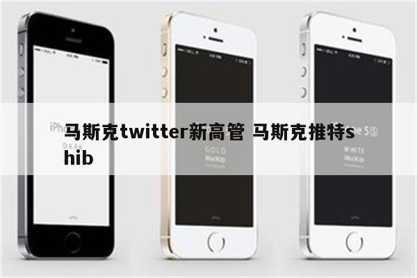 马斯克twitter新高管 马斯克推特shib