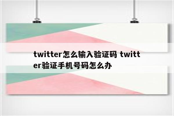 twitter怎么输入验证码 twitter验证手机号码怎么办