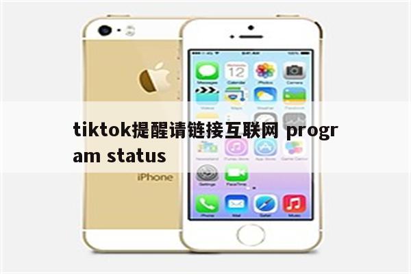 tiktok提醒请链接互联网 program status