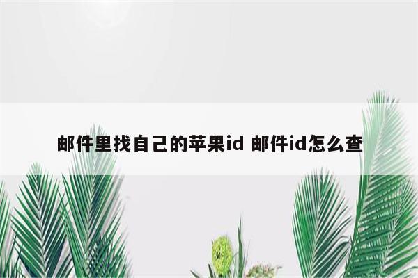 邮件里找自己的苹果id 邮件id怎么查