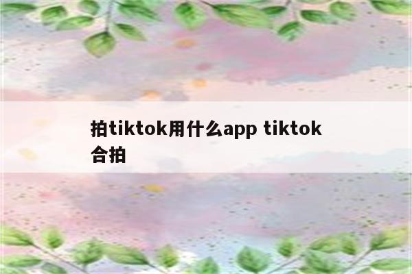 拍tiktok用什么app tiktok合拍