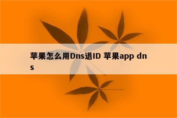 苹果怎么用Dns退ID 苹果app dns