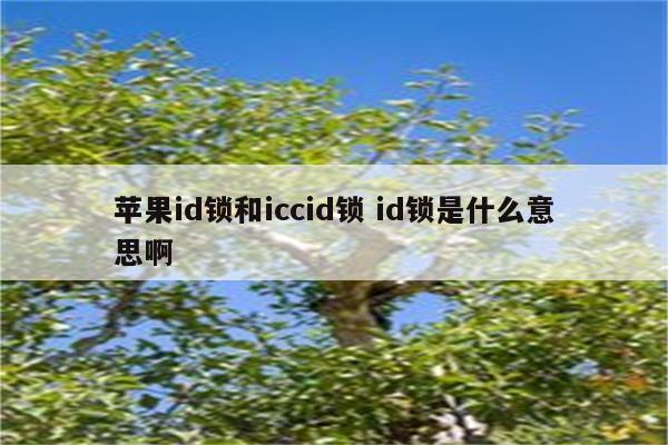 苹果id锁和iccid锁 id锁是什么意思啊