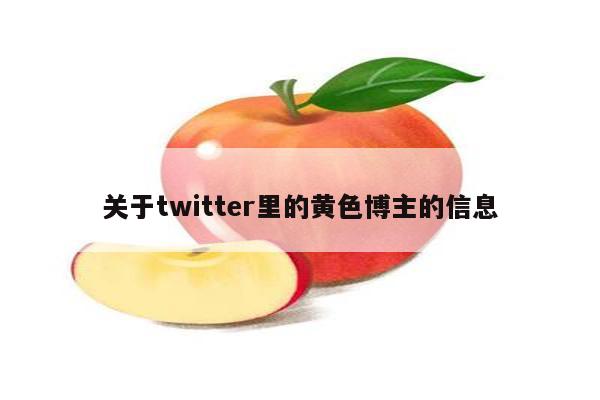 关于twitter里的黄色博主的信息