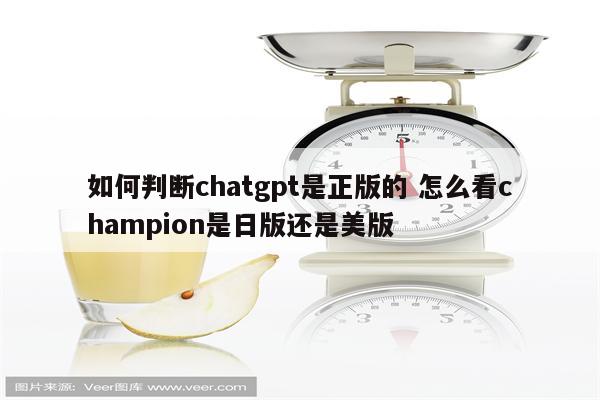 如何判断chatgpt是正版的 怎么看champion是日版还是美版