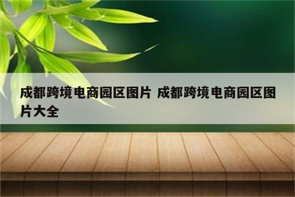 成都跨境电商园区图片 成都跨境电商园区图片大全