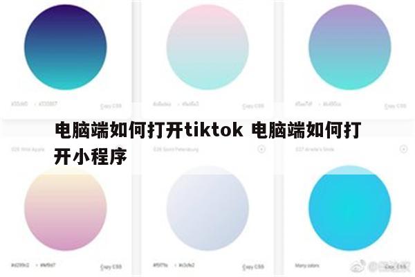 电脑端如何打开tiktok 电脑端如何打开小程序