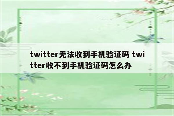 twitter无法收到手机验证码 twitter收不到手机验证码怎么办