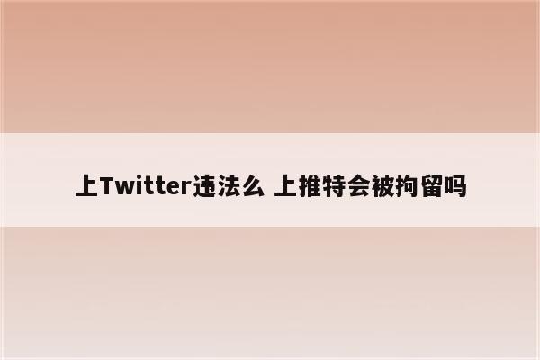 上Twitter违法么 上推特会被拘留吗